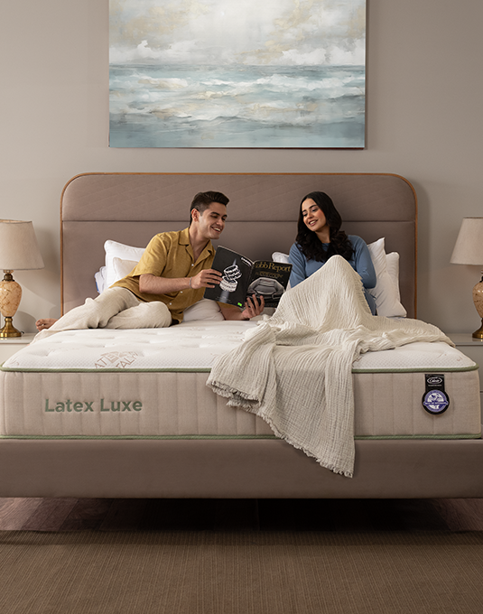 Master Crest Spring Shop the World's Best Spring Mattress – Master Celeste