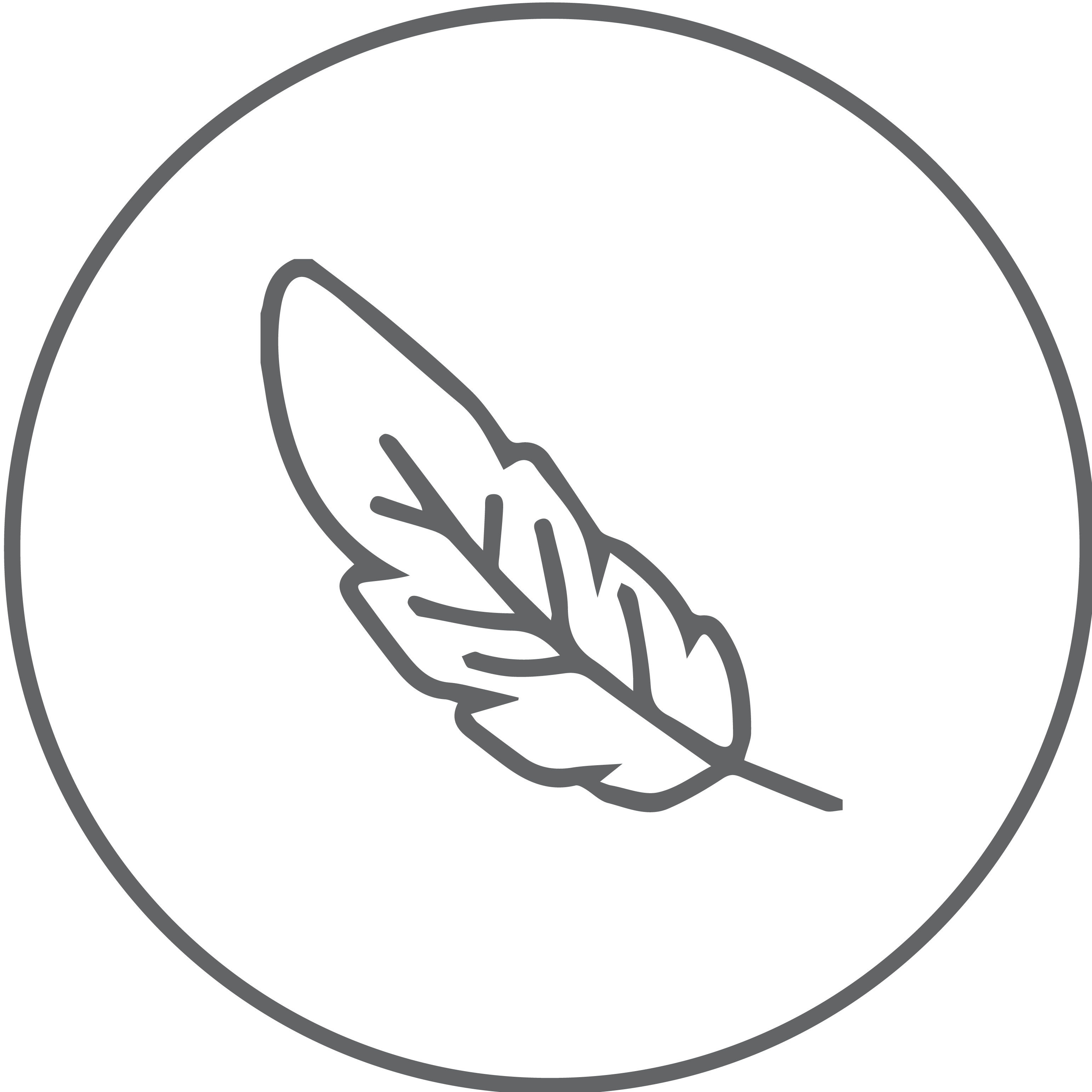 product feature