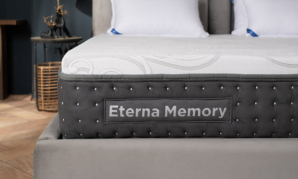 eternamemory-978x589-zoom.jpg (978×589)