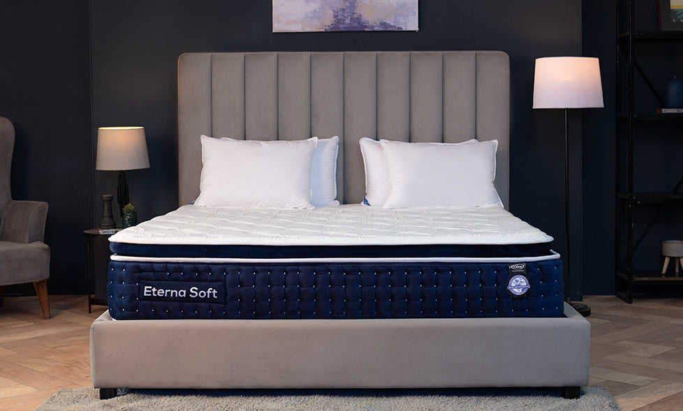 Master Crest Spring Shop the World's Best Spring Mattress – Master Celeste